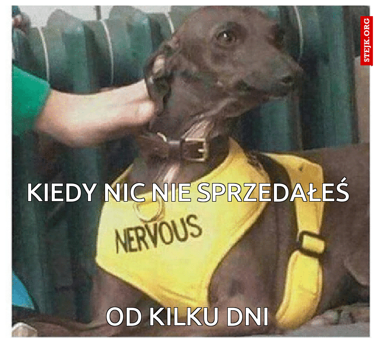 Kiedy nic nie sprzedałeś