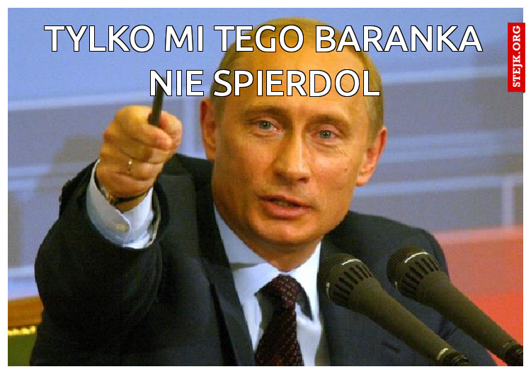 monika ić do roboty
