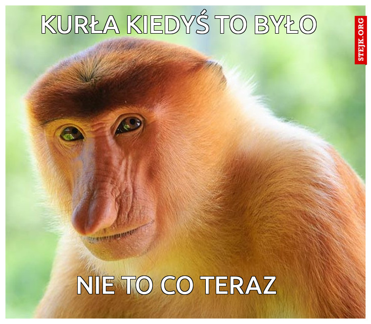 Kurła kiedyś to było