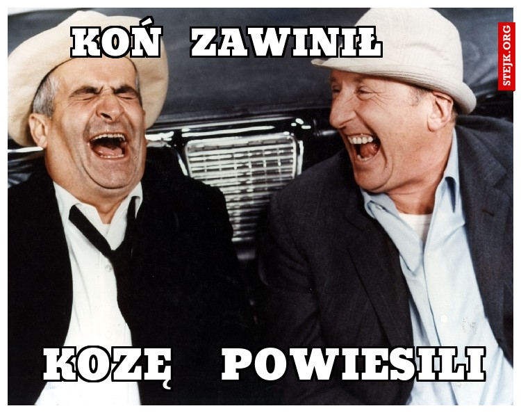koń  zawinił