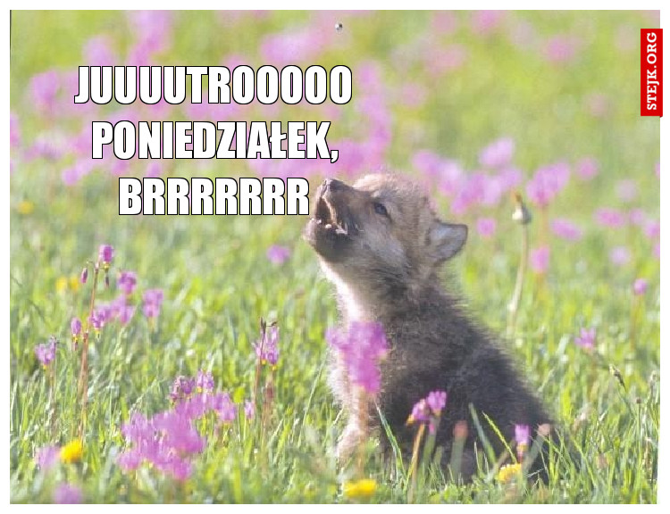Juuuutrooooo poniedziałek, brrrrrrr