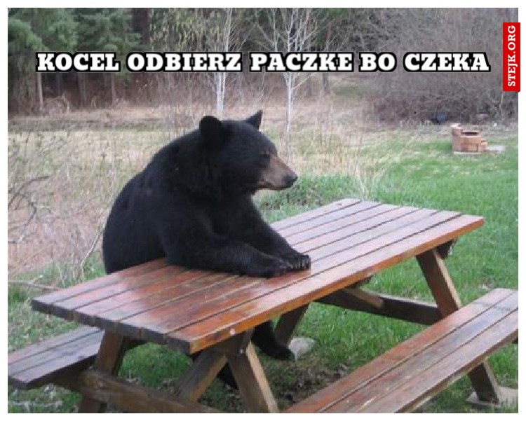 kocel odbierz paczke bo czeka