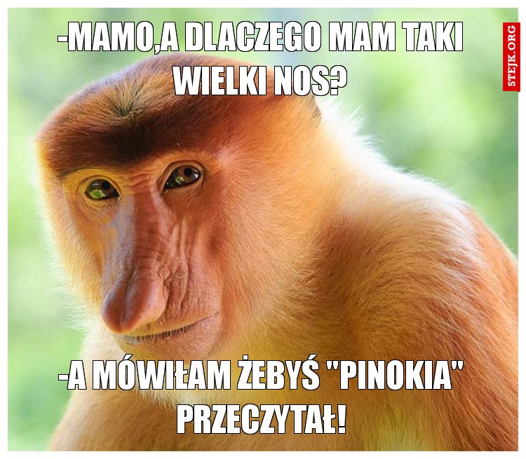 -Mamo,a dlaczego mam taki wielki nos?