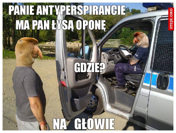 panie antyperspirancie                 ma pan łysą oponę                      