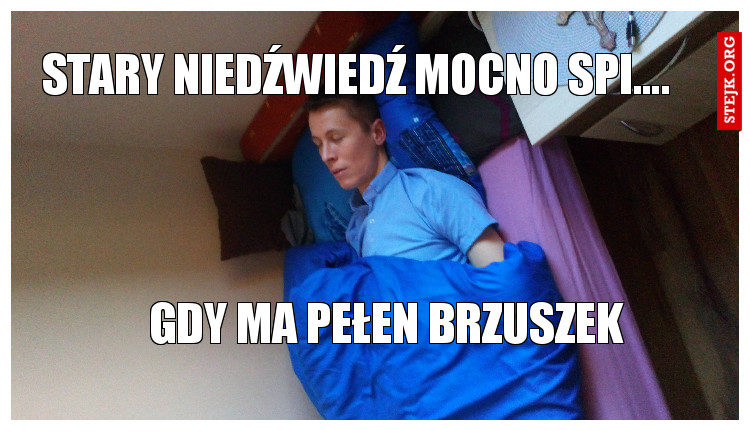 Stary niedźwiedź mocno spi...