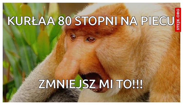 kurłaa 80 stopni na piecu