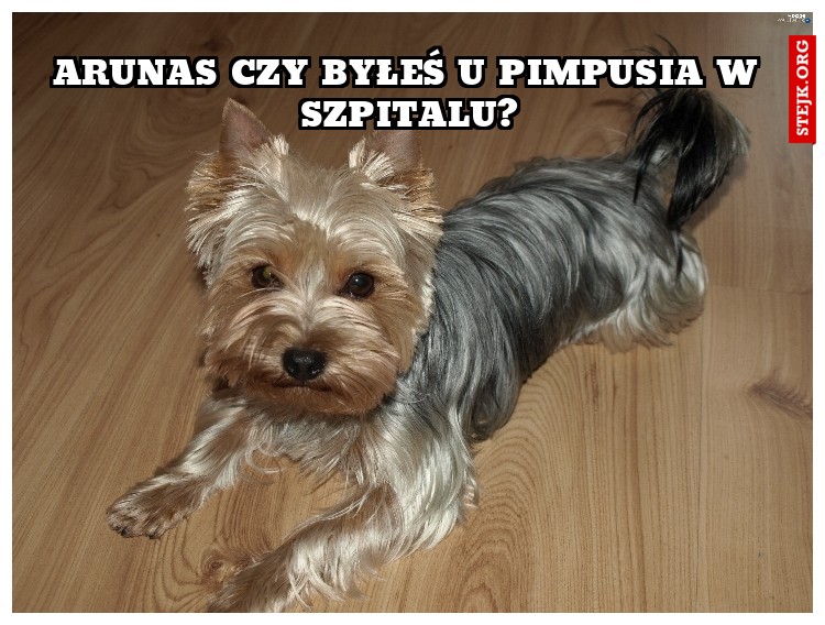 ARUNAS CZY BYŁEŚ U PIMPUSIA W SZPITALU?