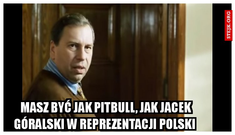 Masz być jak pitbull, jak Jacek góralski w reprezentacji Polski 