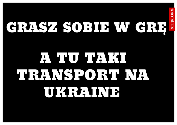 GRasz sobie w grę 