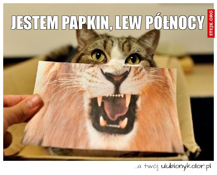 JESTEM PAPKIN, LEW PÓŁNOCY