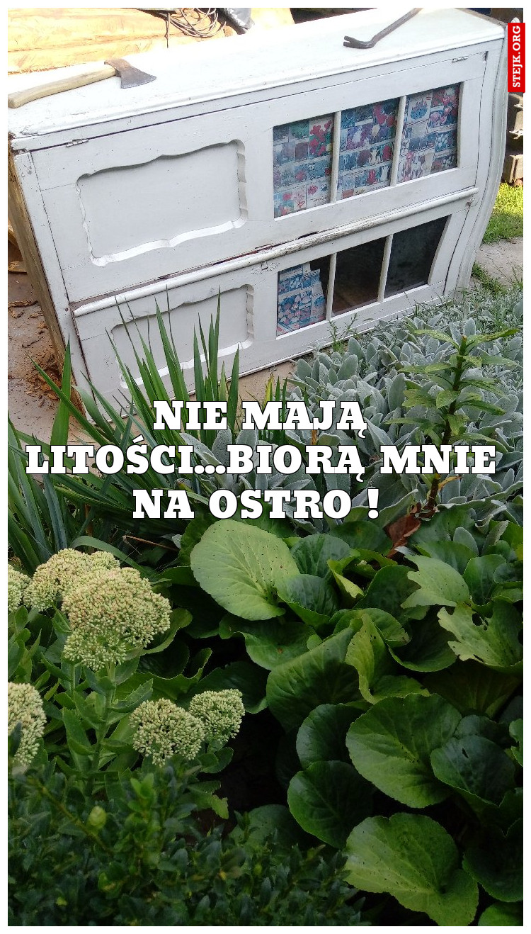 Nie mają litości...biorą mnie na ostro ! 