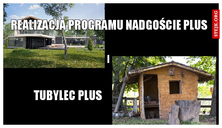 realizacja programu nadgoście plus 