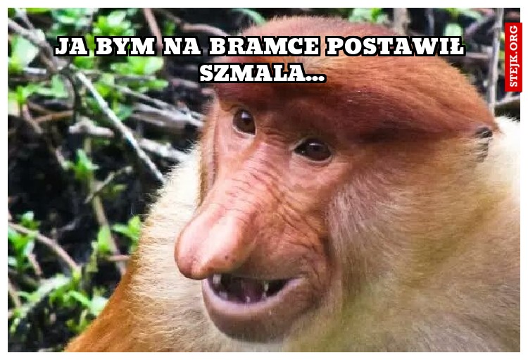 Ja bym na bramce postawił szmala...