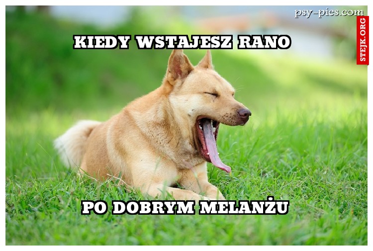 kiedy wstajesz rano 