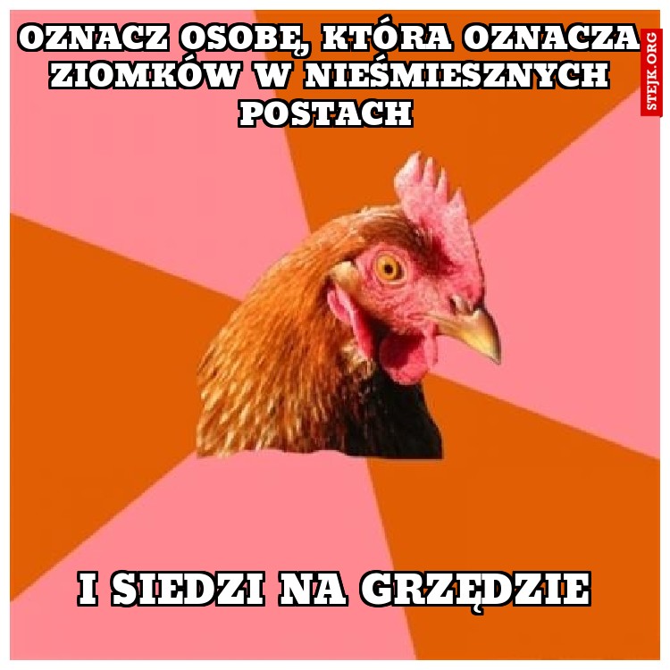 OZNACZ OSOBĘ, KTÓRA OZNACZA ZIOMKÓW W NIEŚMIESZNYCH POSTACH 