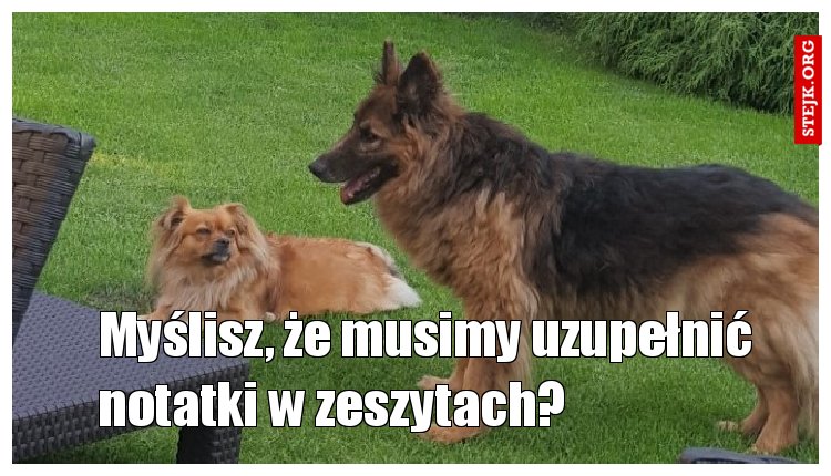 Myślisz, że musimy uzupełnić notatki w zeszytach?