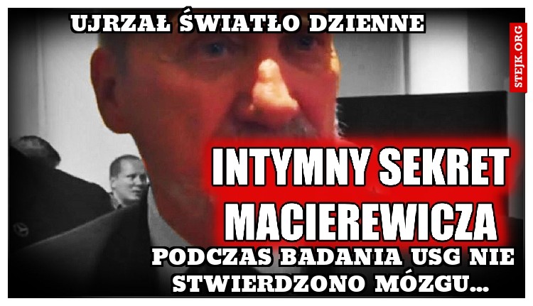 Ujrzał światło dzienne 