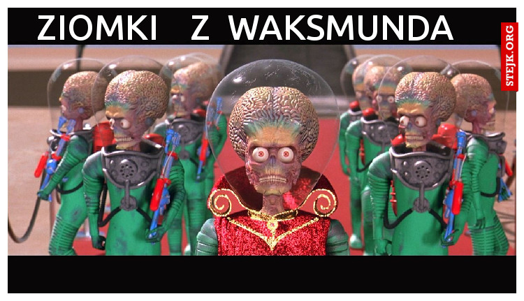 ziomki    z  waksmunda