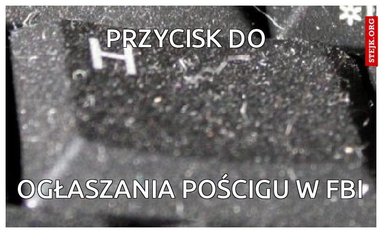przycisk