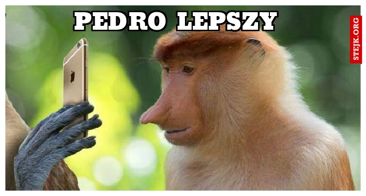 Pedro lepszy 