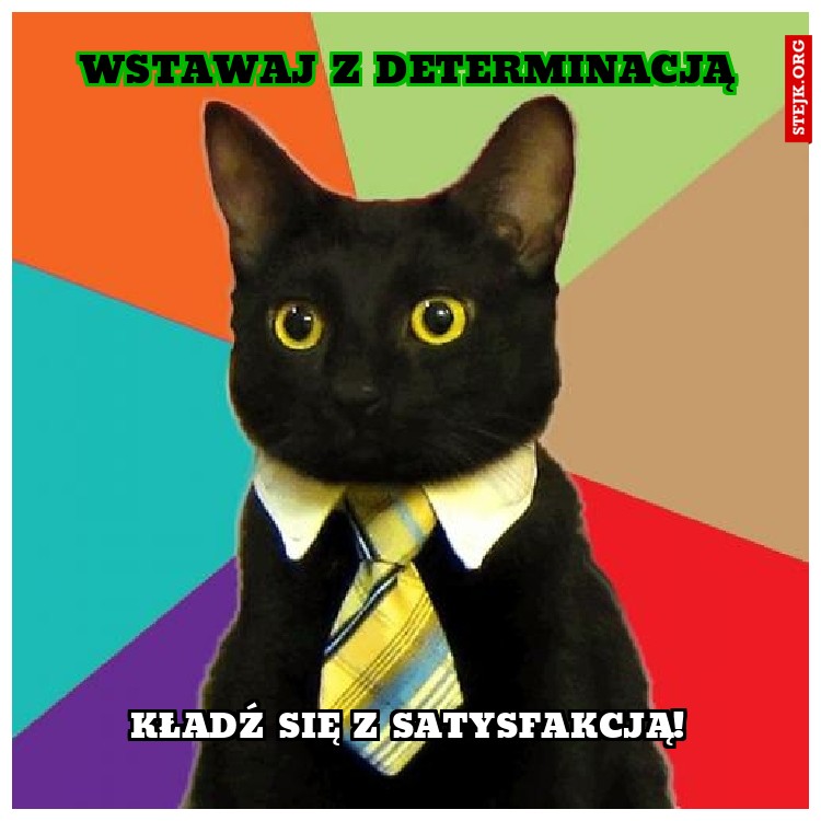 Wstawaj z determinacją
