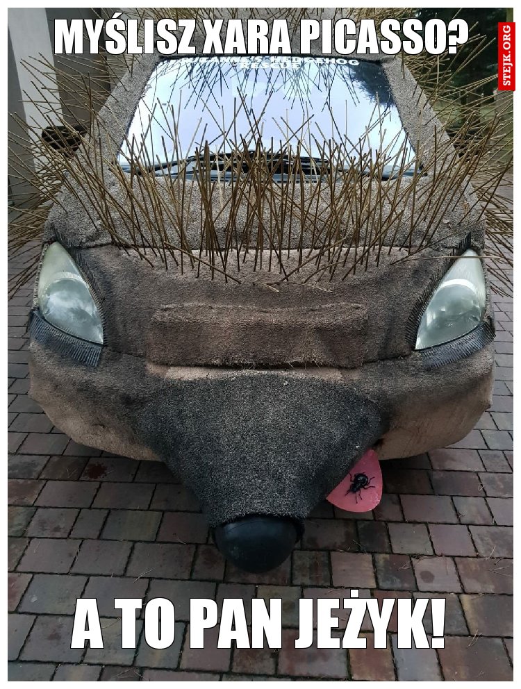 Pan jeżyk mem