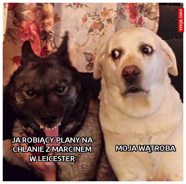 JA ROBIĄCY PLANY NA CHLANIE Z MARCINEM W LEICESTER