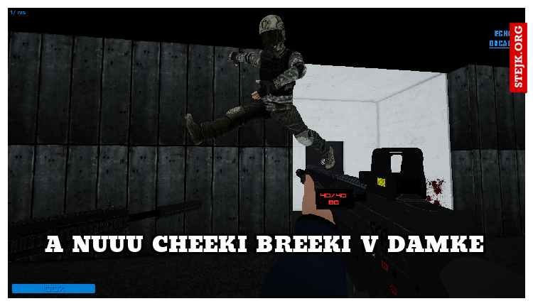 a nuuu cheeki breeki v damke