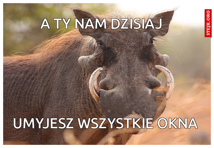 A ty nam dzisiaj 