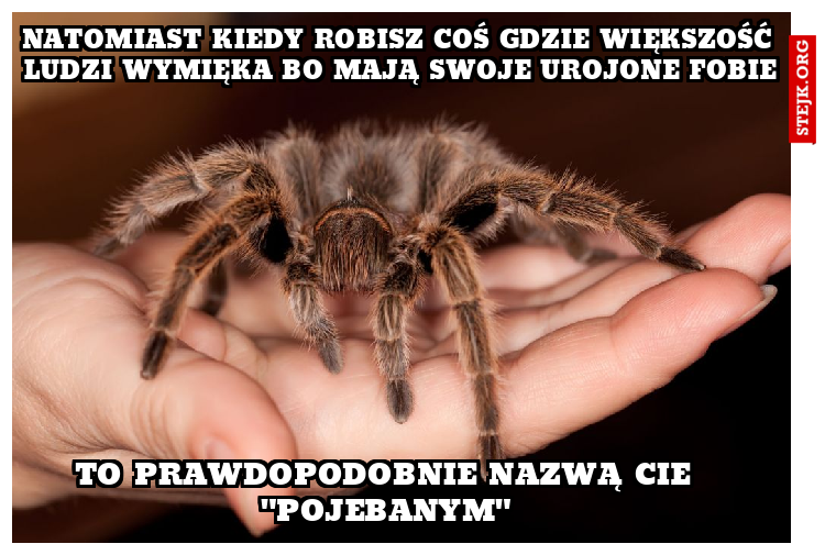 Natomiast kiedy robisz coś gdzie większość ludzi wymięka bo mają swoje urojone fobie