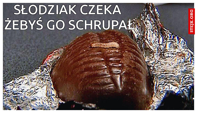 słodziak czeka 