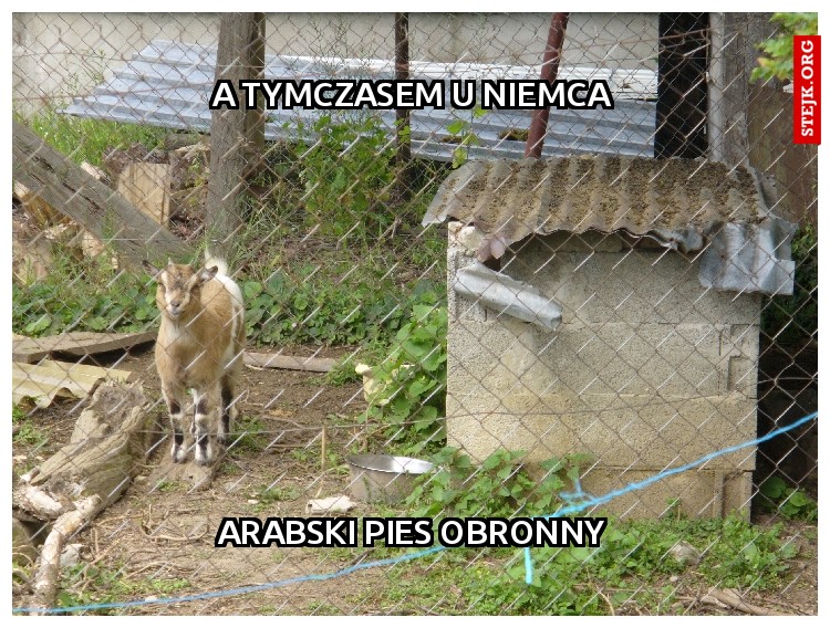 a tymczasem u niemca