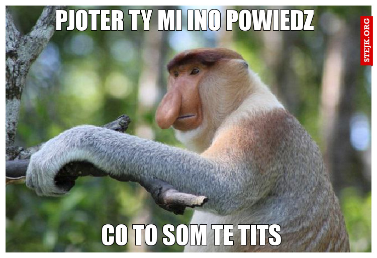 Pjoter ty mi ino powiedz