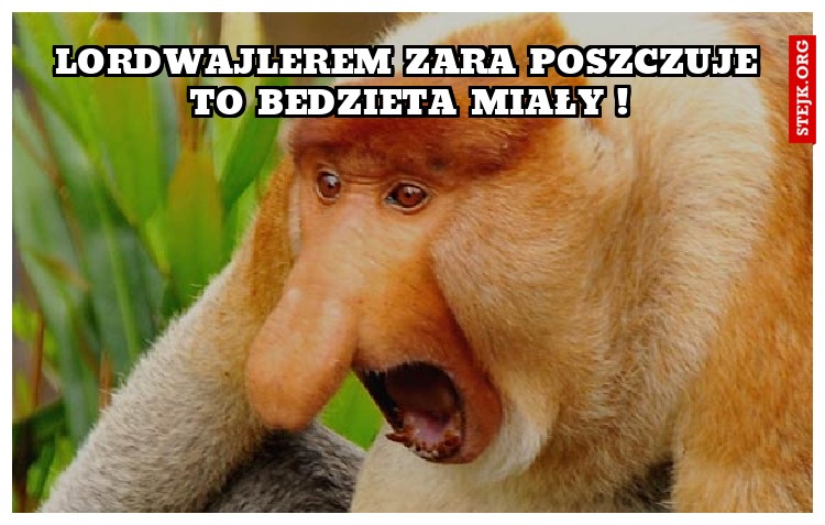 Lordwajlerem zara poszczuje to bedzieta miały !
