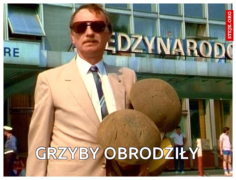 grzyby obrodziły