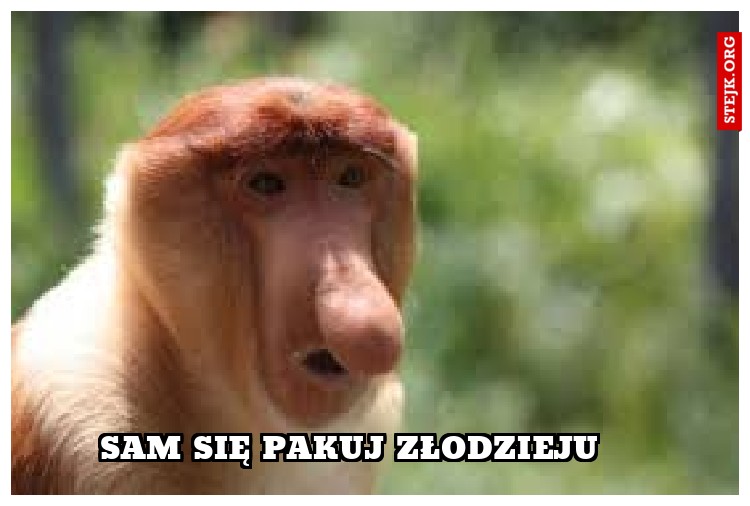 Sam się pakuj złodzieju 