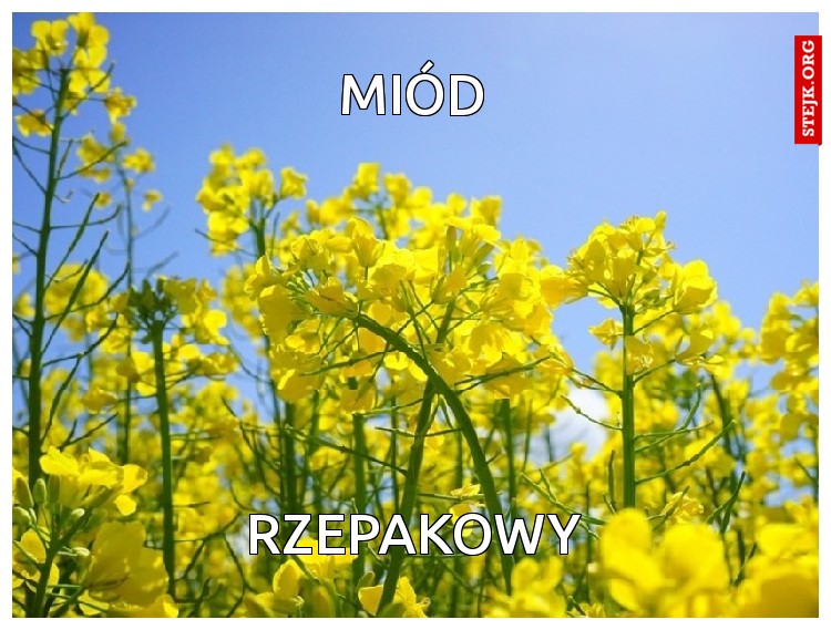 miód