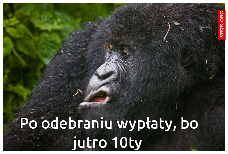 Po odebraniu wypłaty, bo jutro 10ty