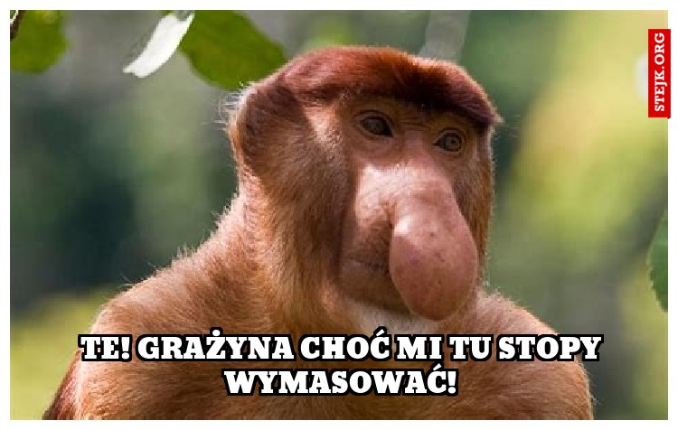 Te! Grażyna choć mi tu stopy wymasować!