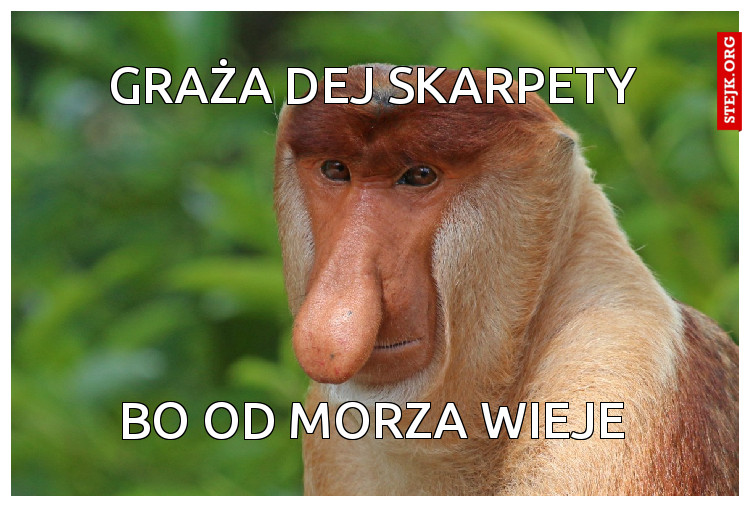 graża dej skarpety