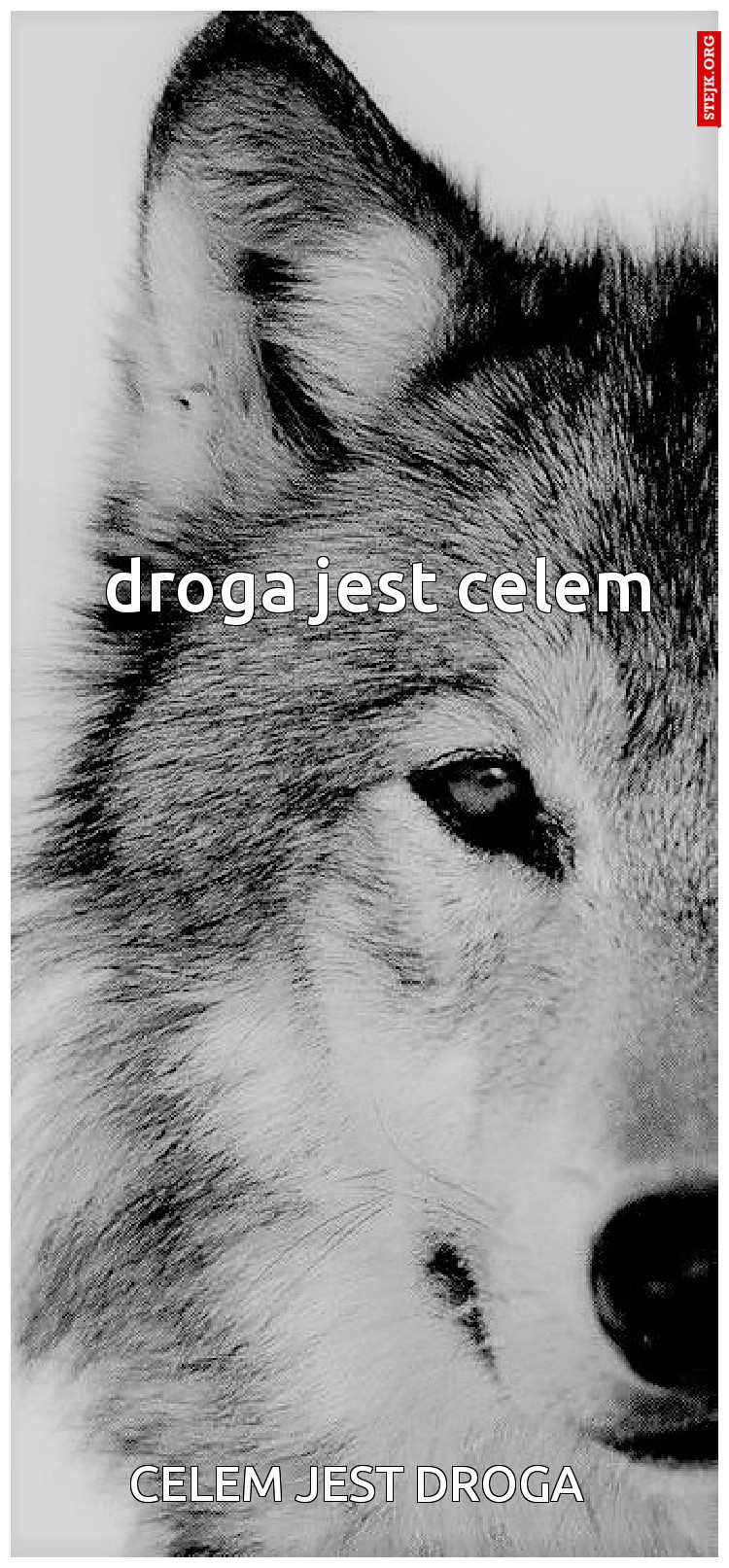 Celem jest droga 