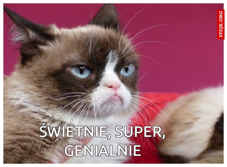 ŚWIETNIE, SUPER, GENIALNIE