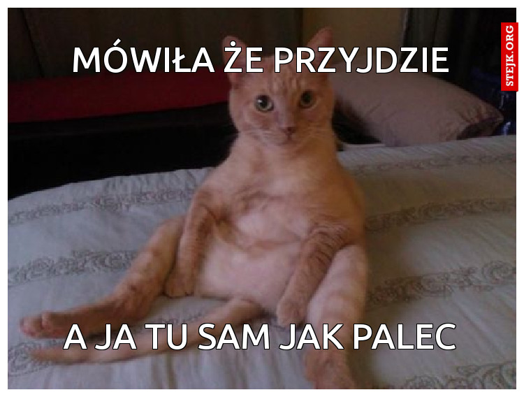 Mówiła że przyjdzie