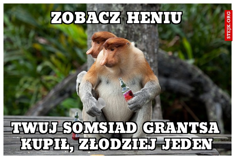 zobacz heniu