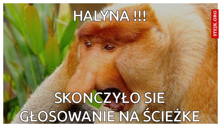 Halyna !!!