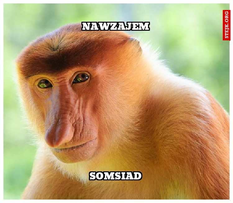 nawzajem
