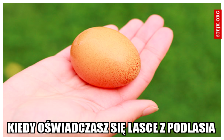 Kiedy oświadczasz się lasce z podlasia