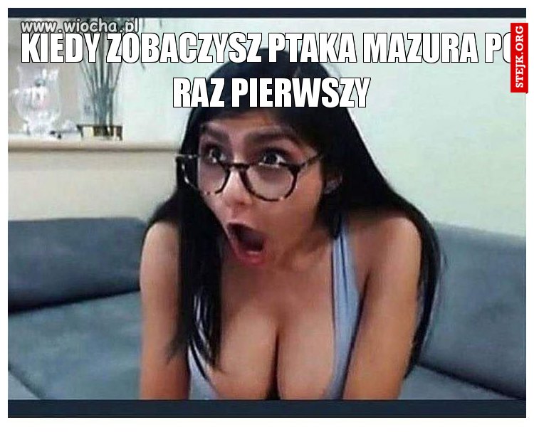 Kiedy zobaczysz ptaka mazura po raz pierwszy