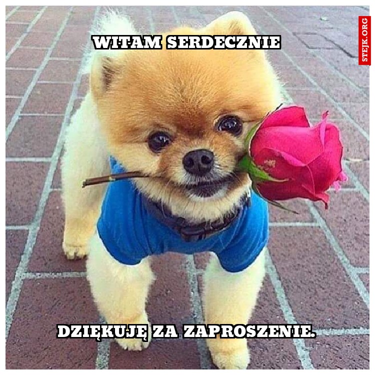 Witam serdecznie