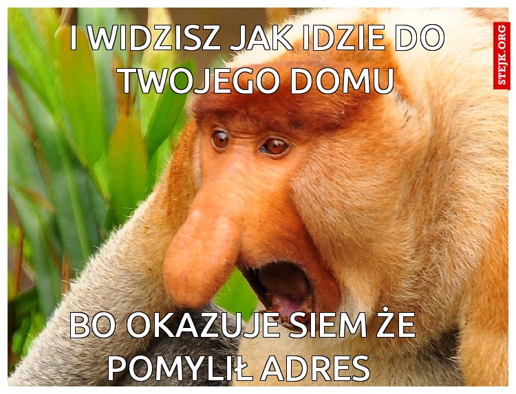 I widzisz jak idzie do twojego domu